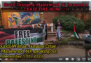 Council Woman Jamaine Cripe of Maplewood, NJ calls for a ceasefire!