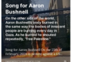Song for Aaron Bushnell by David Rovics