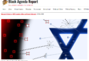 Black Agenda Reports: TikTok and Israel