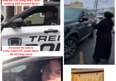 Resistencia en Acción NJ Rapid Response Methods Key to Successful Protection / Defense of Community: Top Level Training Vids