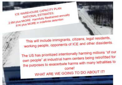 Impact of Industrialization of Harmful Restraint – Assessing the Increased Restraint Capacity of US DHS / ICE War on Our Own